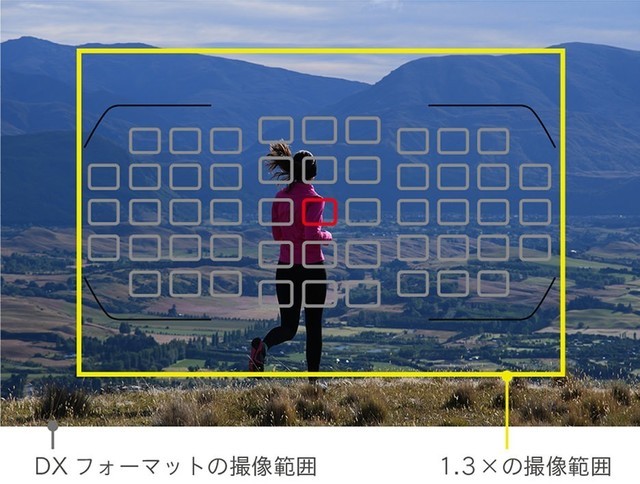 Ų㣿 ж˿ɻͷ˫11 