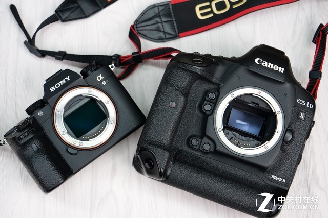 ֶԾ EOS-1D X Mark IIսA9 
