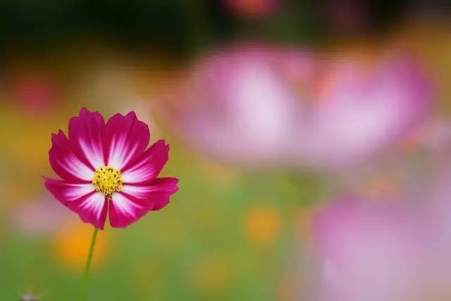 GMϵ¾ ᷢFE 100mm f/2.8  