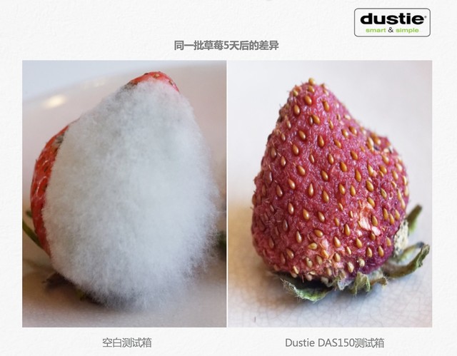 Dustie DAS150Դͷζ 