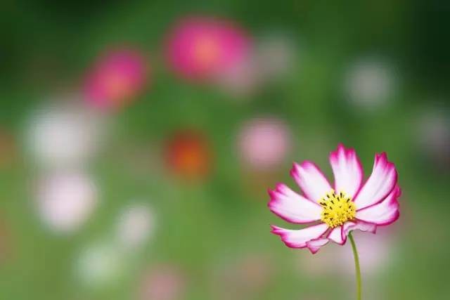 GMϵ¾ ᷢFE 100mm f/2.8  