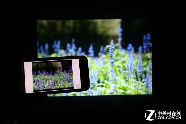 ̳սر NEC CR2270XͶӰ 