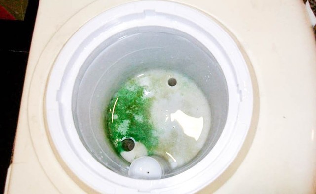 办公室的桶装饮水机里面有蟑螂，是真的吗？ 