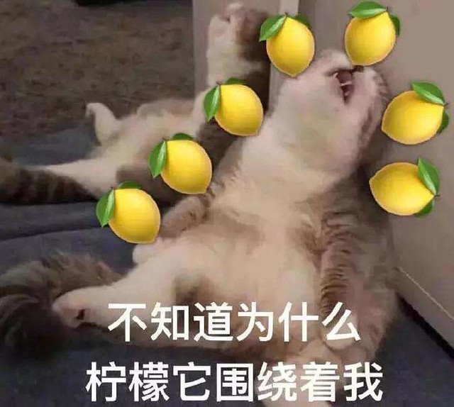ڴű ȥһ̵ 