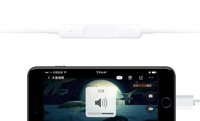 ˽ iPhone̸ϵ 