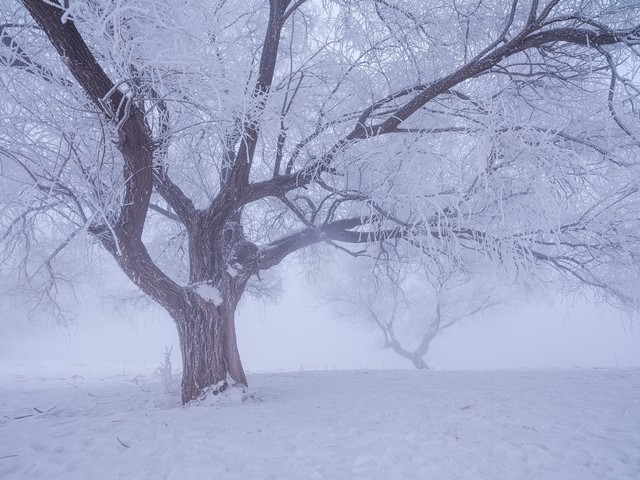 -27Ķ ʿGFX 50Rս 