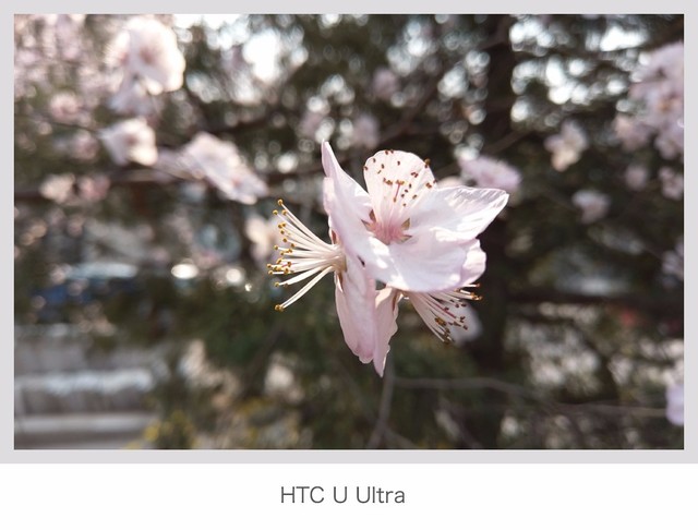 ΪP10 Plus/HTC U UltraնԱ