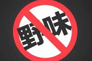 ڼԤ͹״ Ŀ 