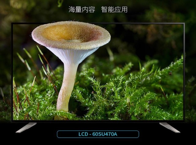 ѡѡͲѡ ѧӼΪ 