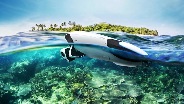 a€œPowerDolphina€çš„图ç¡ë‡æœç¡ä¡é绡°æžœ