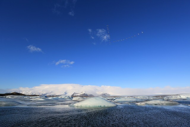 �����ӽǿ��羰  ���ܹ�Ǿ�ͷѡ��ָ�� 