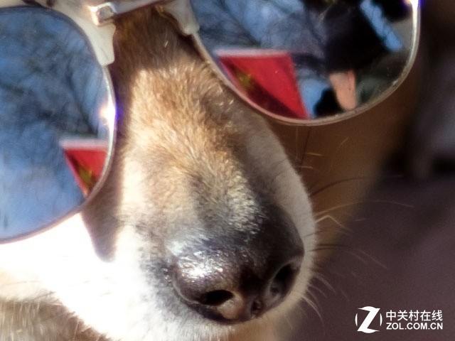 1ǧf/1.2Ȧ ߹¾ 