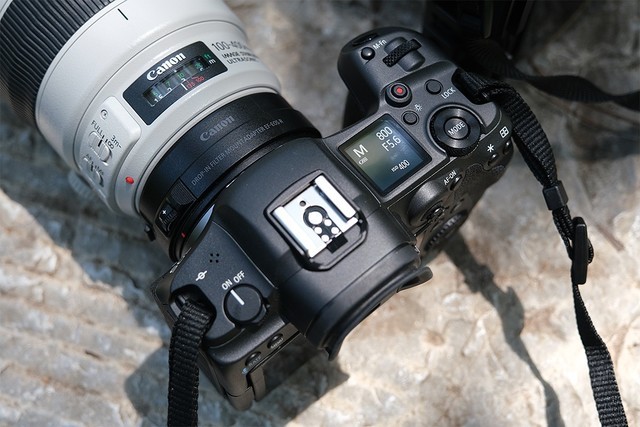 ۷ԾEOS R5A9 II˭̬Ӱ 