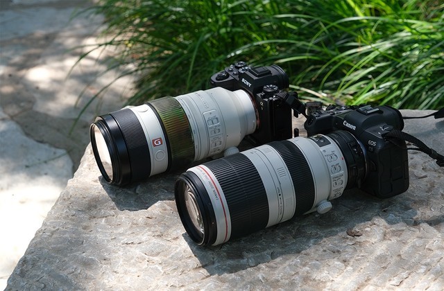۷ԾEOS R5A9 II˭̬Ӱ 