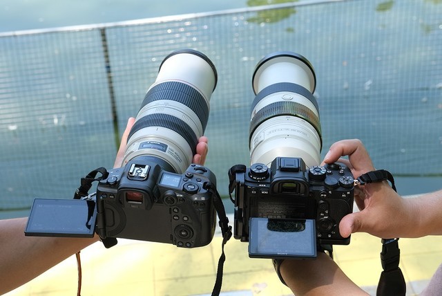 ۷ԾEOS R5A9 II˭̬Ӱ 