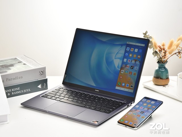 ѹΪMateBook 14 2020  