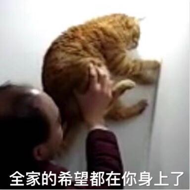 ֲ᣺ҾȻ˴ 