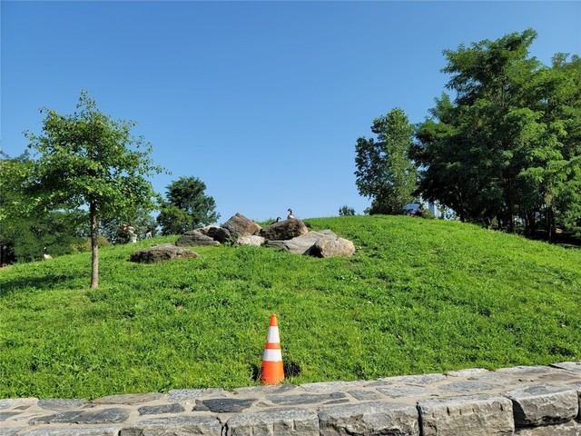 外媒放出三星Galaxy Note 20 Ultra样张 50倍变焦惊艳