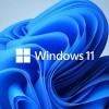 Windows11ͥ/רҵ win11ϵͳ װU ͥרҵ Ʊ win11רҵԿ+u