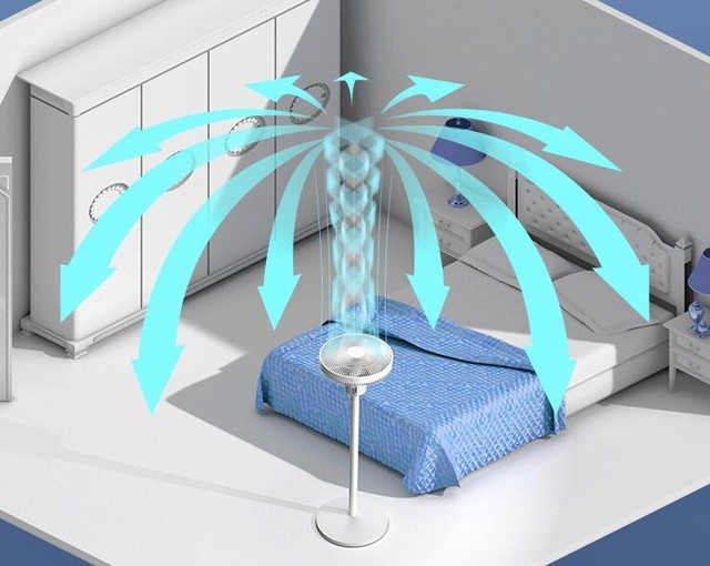 ҵ©ȫݷҲȻ磿С׷ֱƵE 