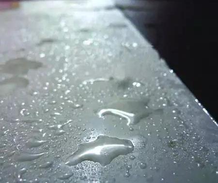ѡ˲ԩǮܽݼʪѡָ 