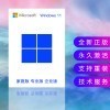 win11ͥרҵҵϵͳ windows11Կ װU win11ͥ+װU