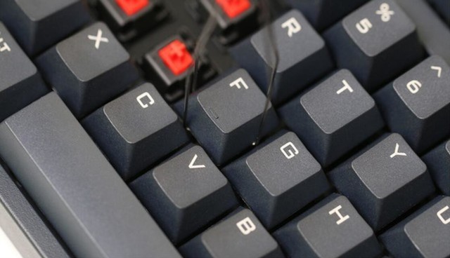 СգΪʹʳߵĹߣ 