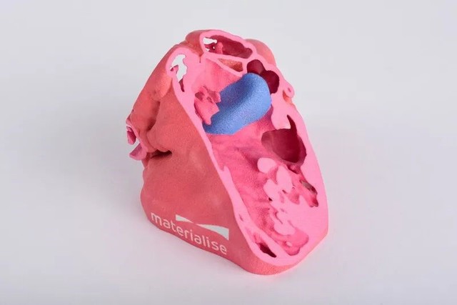 ҽѧӰ3Dӡҩ֤ 