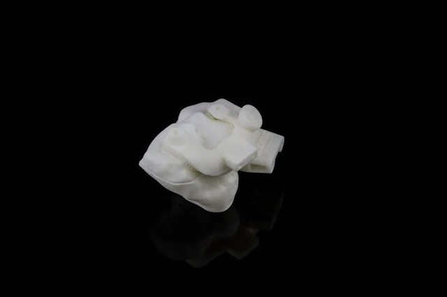 ҽѧӰ3Dӡҩ֤ 
