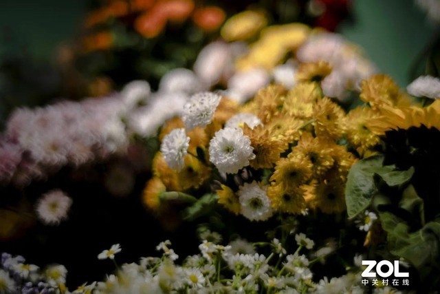 Я35mm F0.95ͷμCCBNչ 