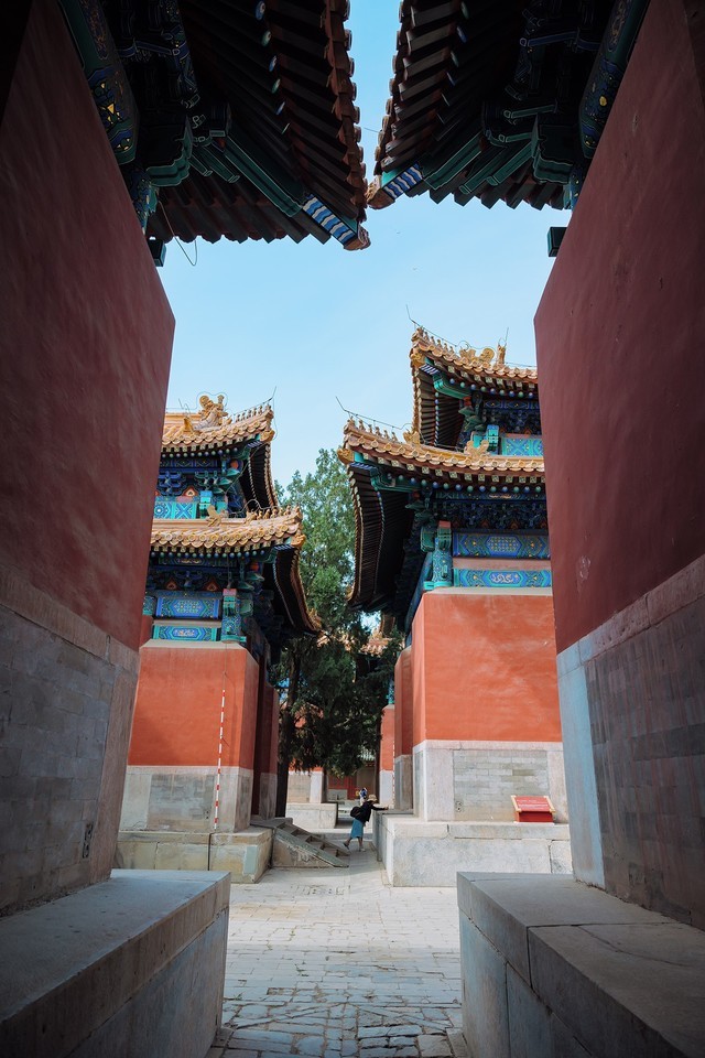 只买一台相机 佳能EOS R6能不能满足你的拍摄需要