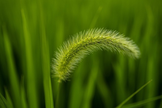 ʿ¾ͷXF23mmF1.4 R LM WRٷ