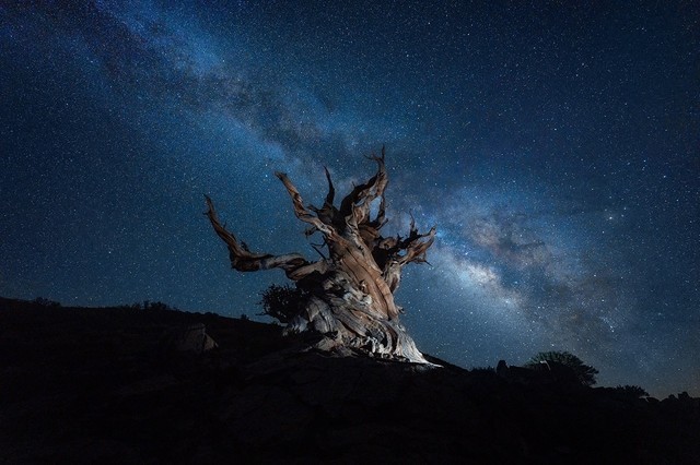 ΢Ԫ ῵Z 14-24mm F2.8 Sͷ 