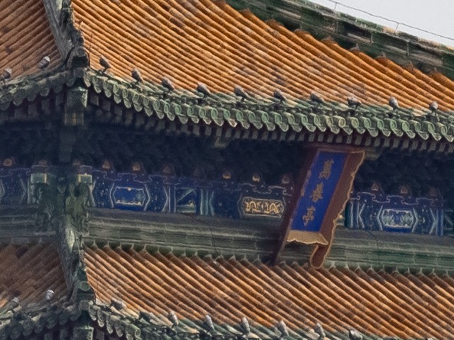 ͬΪ ͬƷ֮кβͬ 