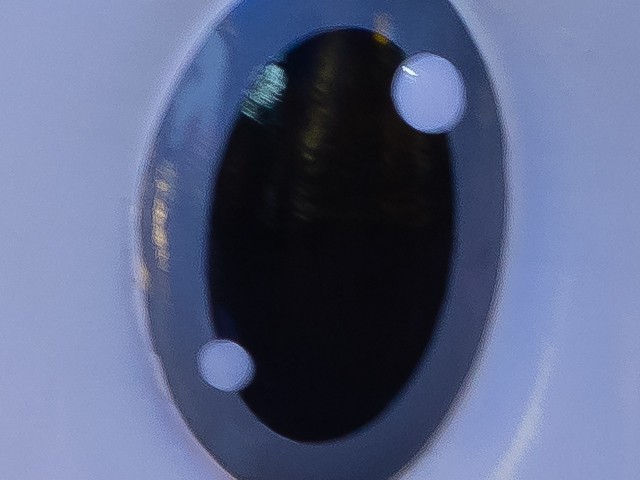 ͬΪ ͬƷ֮кβͬ 