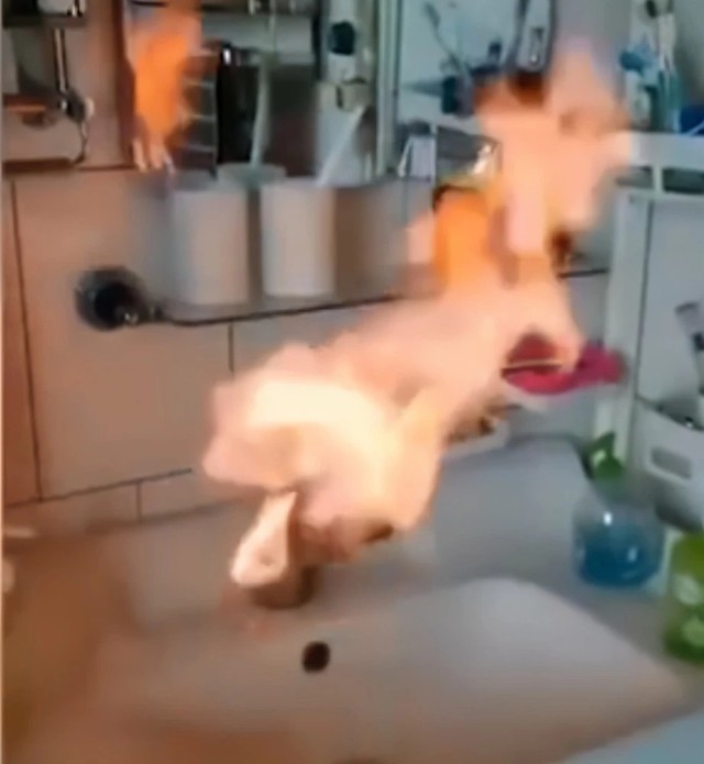 һˮɵȼ ߽ѧʮ 