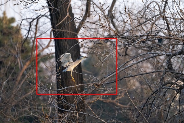 ῵Z9콢΢ ڹٶ뼤 