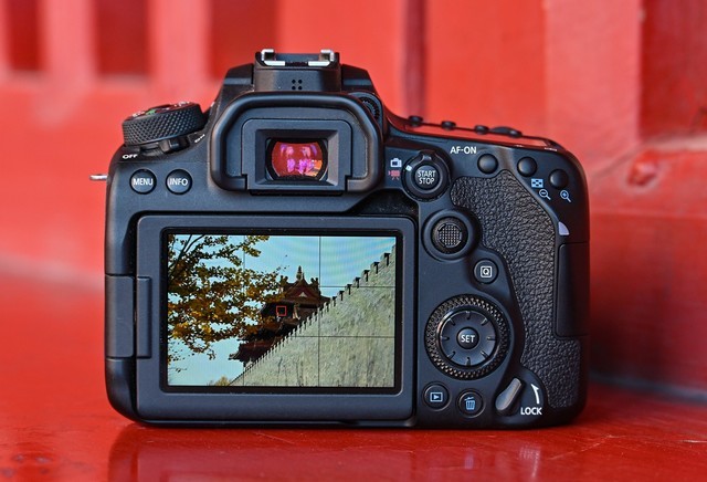  Four core advantages of Canon 90D for beginners in photography  