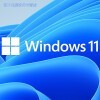 Windows11ԶЭԿwin11רҵ