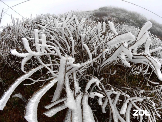 中国天气发布全国抗冻地图:北方有外挂-中关村在线