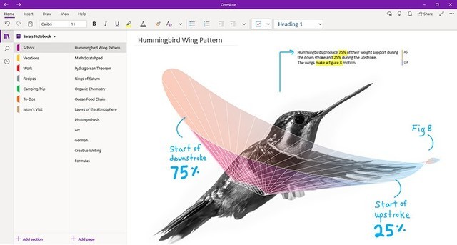 һȦֻˣOneNote UWP 潫֧ ȡ 