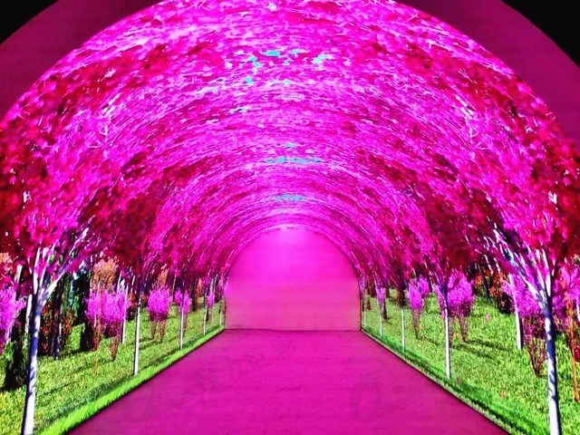 LED沉浸式解决方案 给你一场身临其境的体验