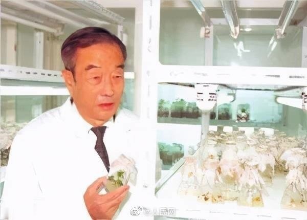 侯锋院士逝世 享年92岁 人们能吃得起黄瓜全靠他_业界资讯-中关村在线