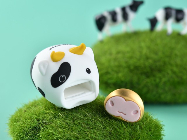 ʿţ궨Ụȳ¸߶ ر