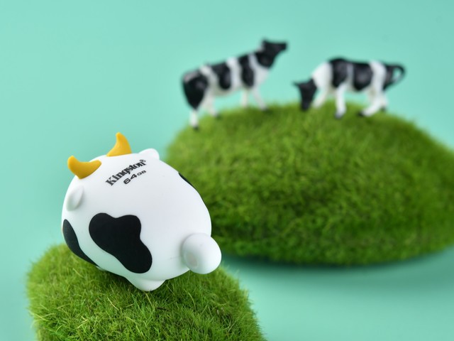 ʿţ궨Ụȳ¸߶ ر