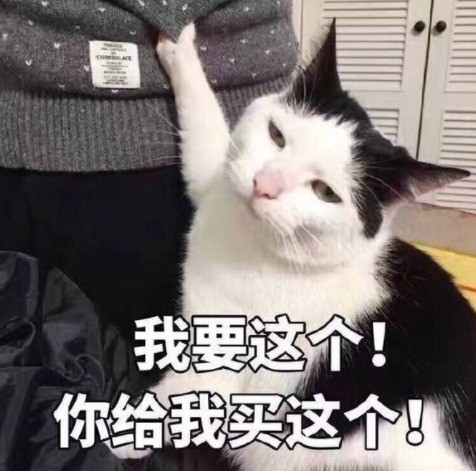 һԪС׵ӣô 