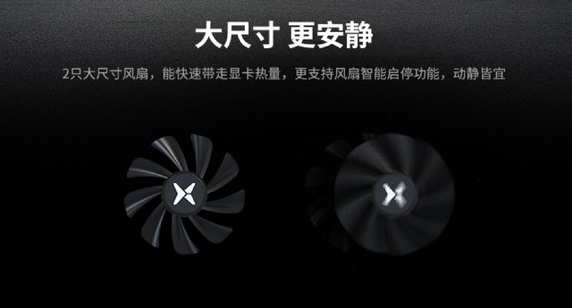 5ȫ RX 6500XT Xսϼ 