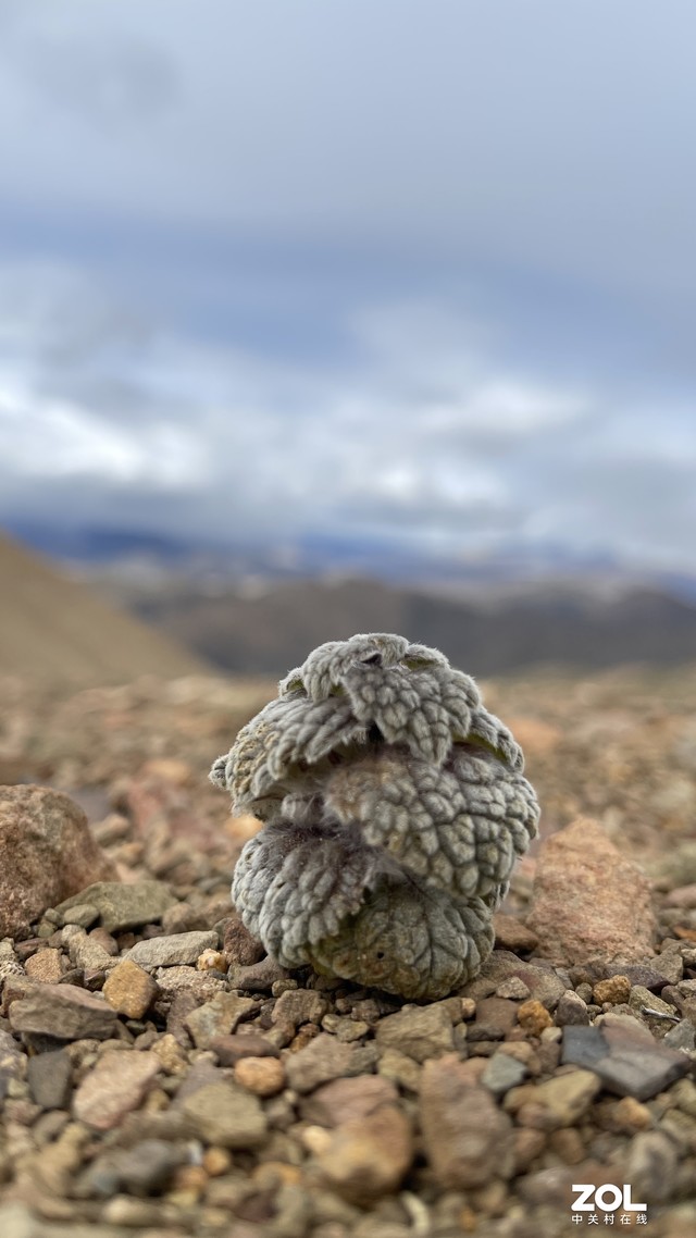 ������֮·��Day5 �ִ�����Ӫ ���Ҹ�ð�� 