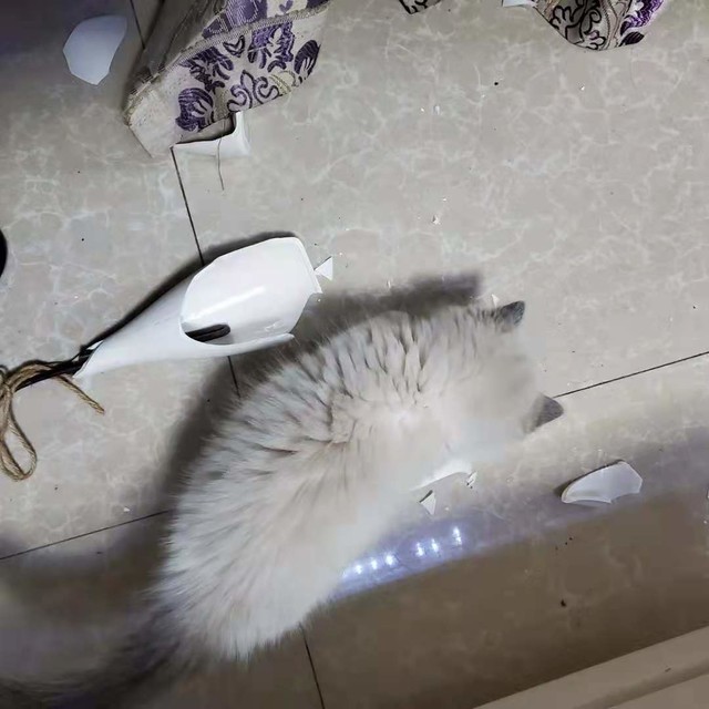 h520ŮЩԺ ҷˣ 