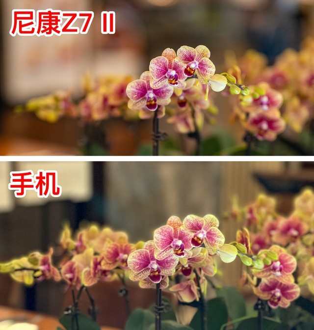 ֻ黯黯ʲô 
